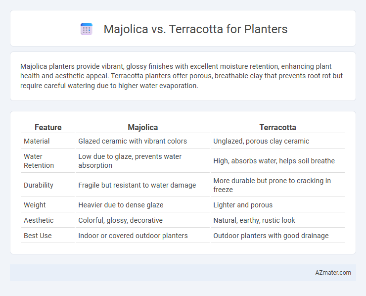 Majolica vs. Terracotta for Planters - What is The Difference?