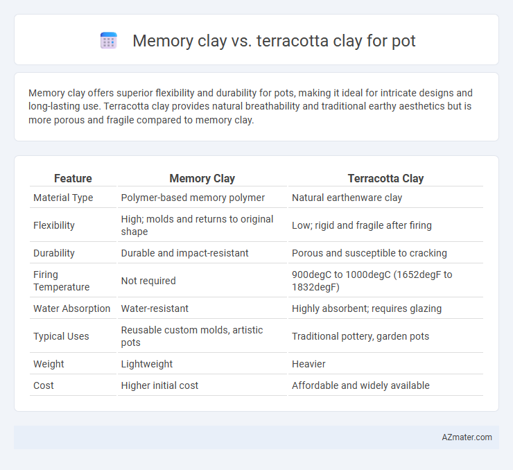 Memory clay vs. terracotta clay for pot - What is The Difference?