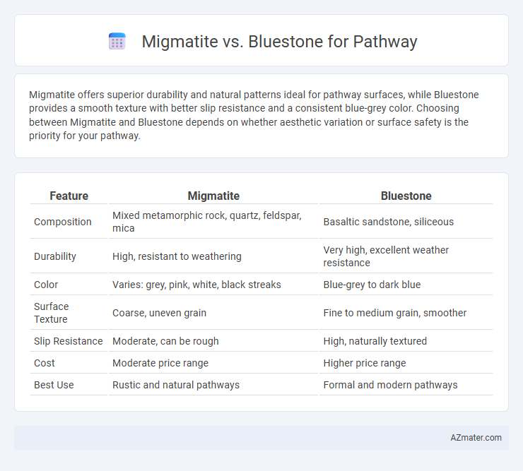 Migmatite vs. Bluestone for Pathway - What is The Difference?