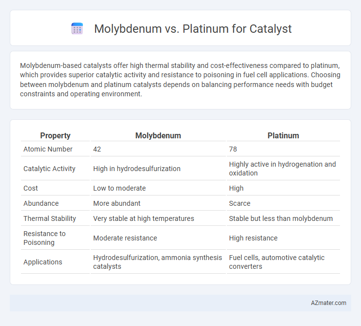 Molybdenum vs. Platinum for Catalyst - What is The Difference?