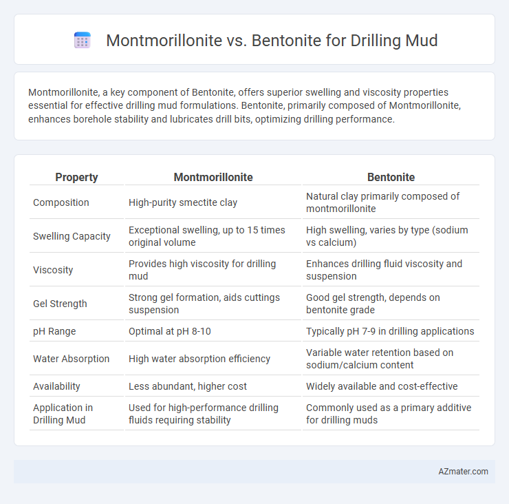 Montmorillonite vs. Bentonite for Drilling Mud - What is The Difference?