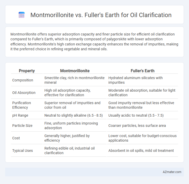 Montmorillonite vs. Fuller's Earth for Oil Clarification - What is The Difference?