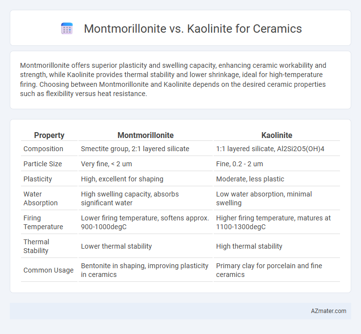 Montmorillonite vs. Kaolinite for Ceramics - What is The Difference?