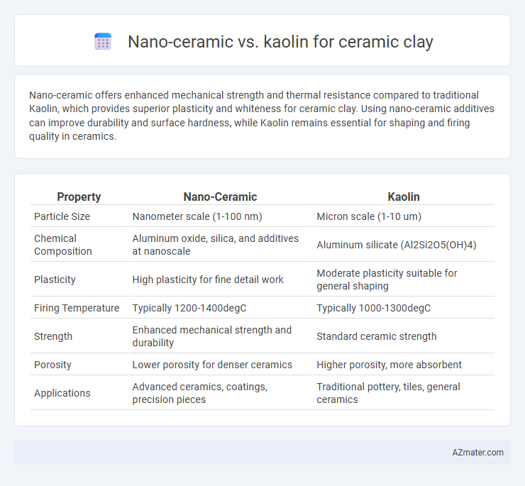 Nano-ceramic vs. kaolin for ceramic clay - What is The Difference?