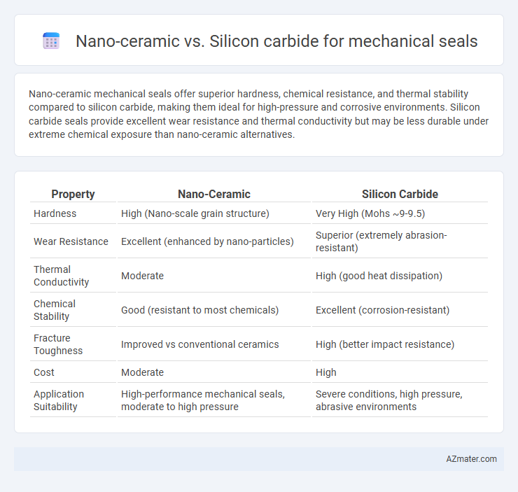 Nano-ceramic vs. Silicon carbide for mechanical seals - What is The Difference?