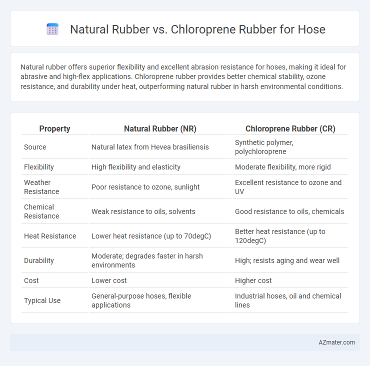 Natural Rubber vs. Chloroprene Rubber for Hose - What is The Difference?