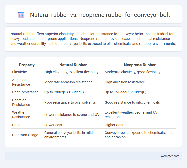 Natural rubber vs. neoprene rubber for conveyor belt - What is The Difference?