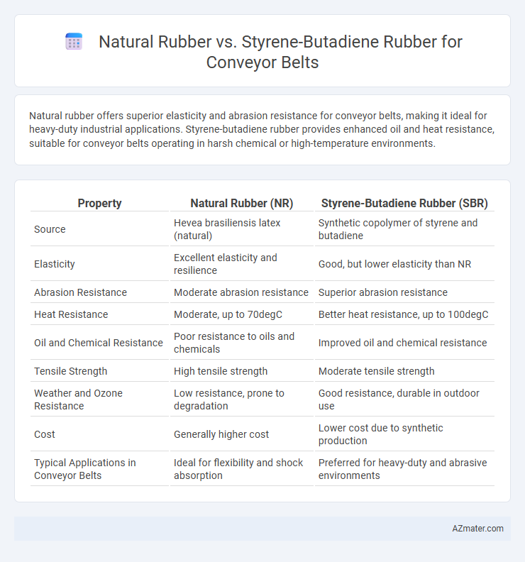 Natural Rubber vs. Styrene-Butadiene Rubber for Conveyor Belts - What is The Difference?