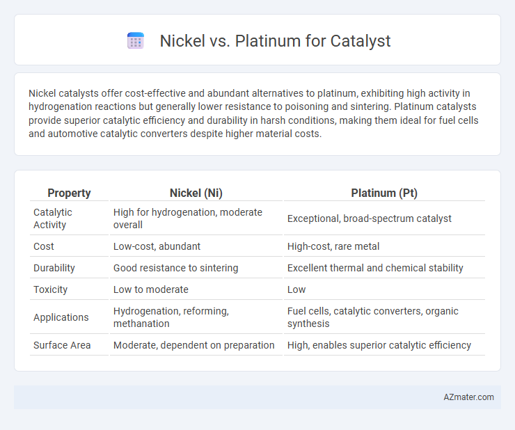 Nickel vs. Platinum for Catalyst - What is The Difference?