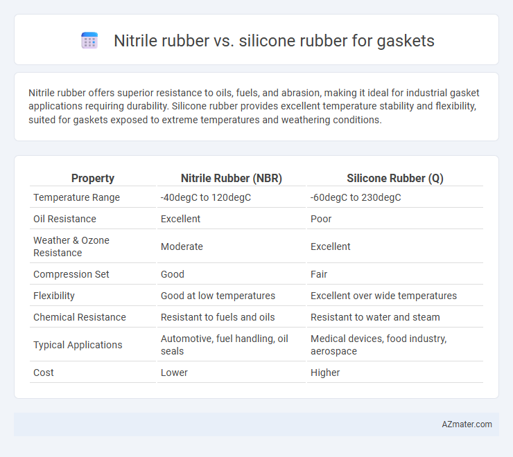 Nitrile rubber vs. silicone rubber for gaskets - What is The Difference?