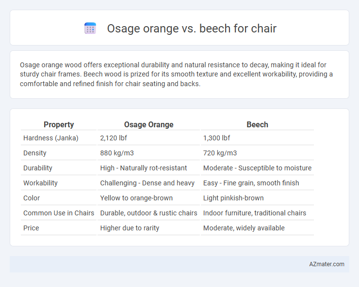 Osage orange vs. beech for chair - What is The Difference?