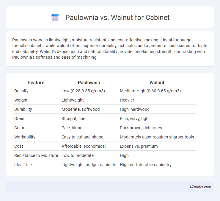 Paulownia vs. Walnut for Cabinet - What is The Difference?