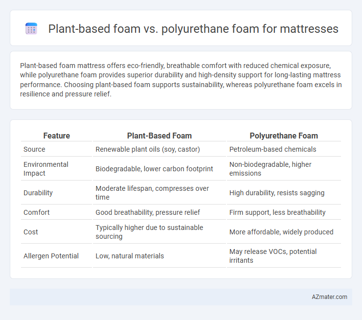 Plant-based foam vs. polyurethane foam for mattresses - What is The Difference?