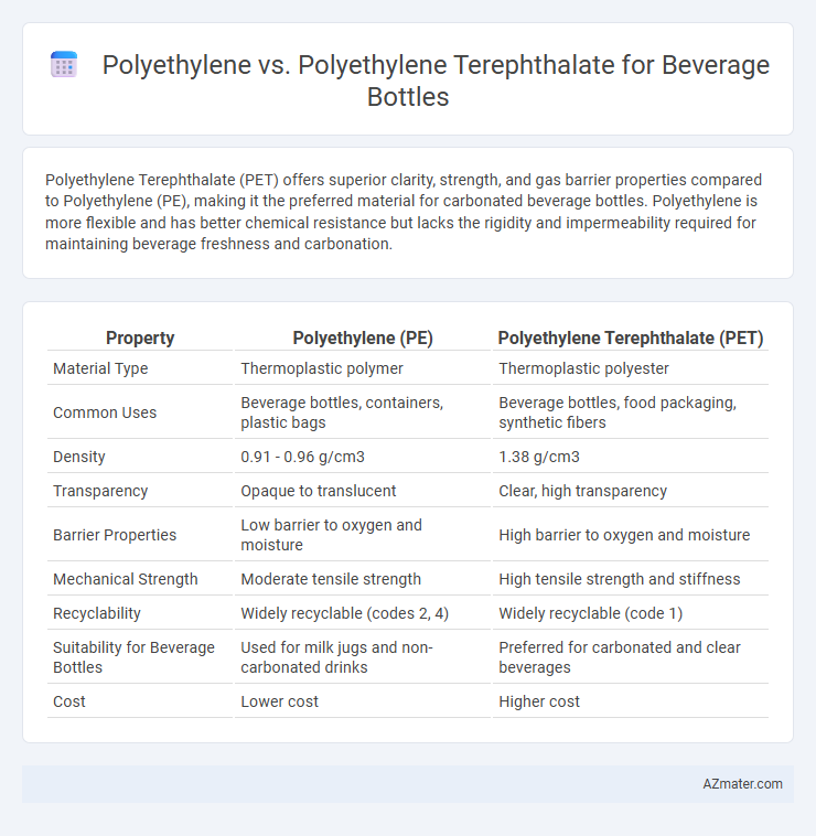 Polyethylene vs. Polyethylene Terephthalate for Beverage Bottles - What is The Difference?