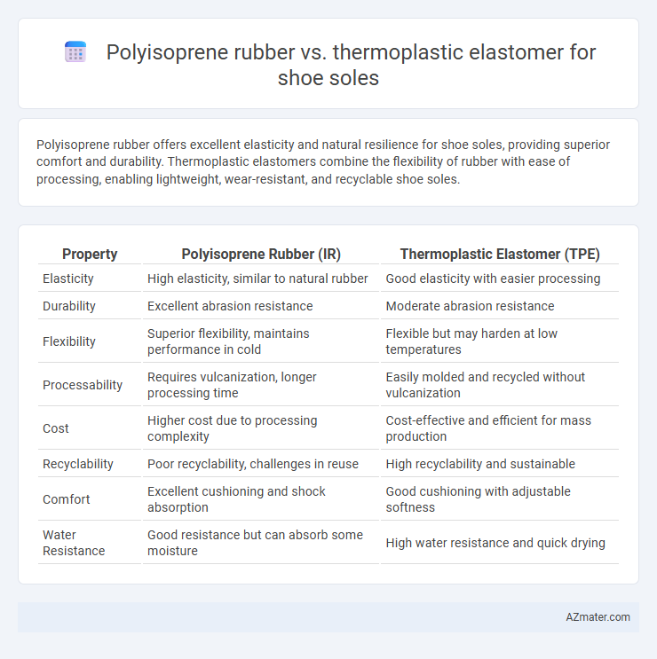 Polyisoprene rubber vs. thermoplastic elastomer for shoe soles - What is The Difference?