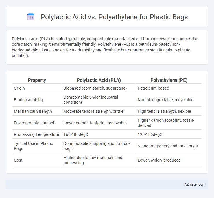 Polylactic Acid vs. Polyethylene for Plastic Bags - What is The Difference?