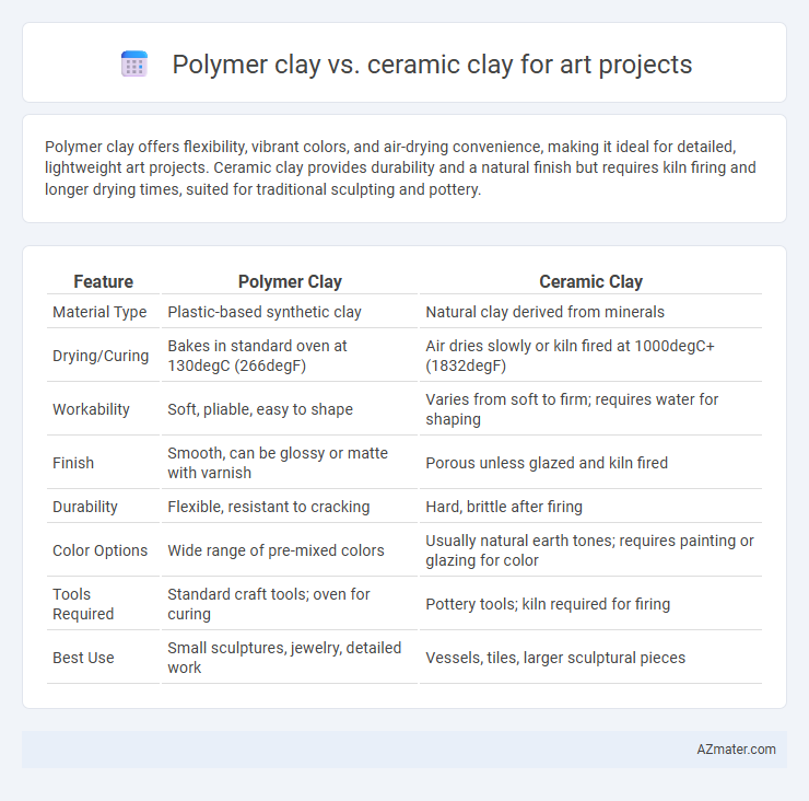 Polymer clay vs. ceramic clay for art projects - What is The Difference?