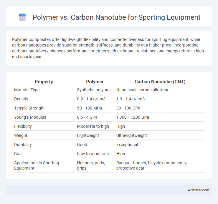 Polymer vs. Carbon Nanotube for Sporting Equipment - What is The Difference?