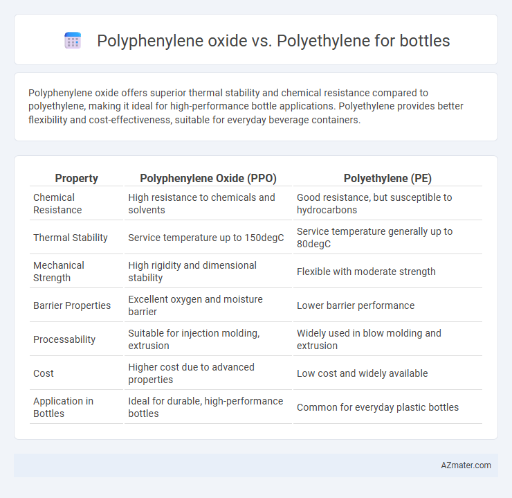 Polyphenylene oxide vs. Polyethylene for bottles - What is The Difference?