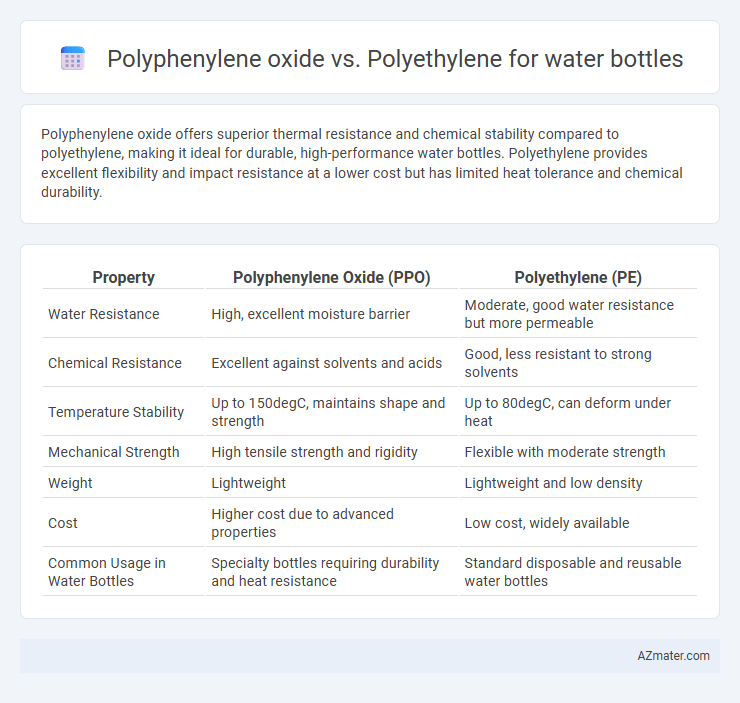 Polyphenylene oxide vs. Polyethylene for water bottles - What is The Difference?