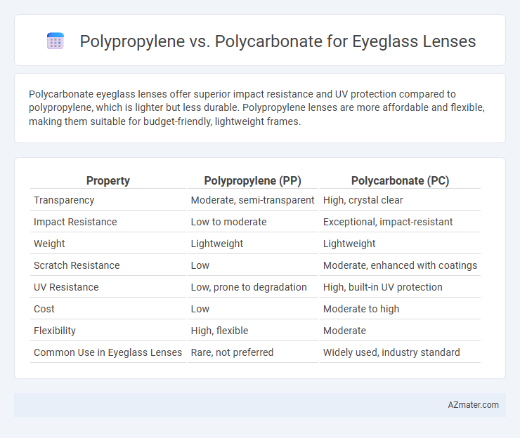 Polypropylene vs. Polycarbonate for Eyeglass Lenses - What is The Difference?