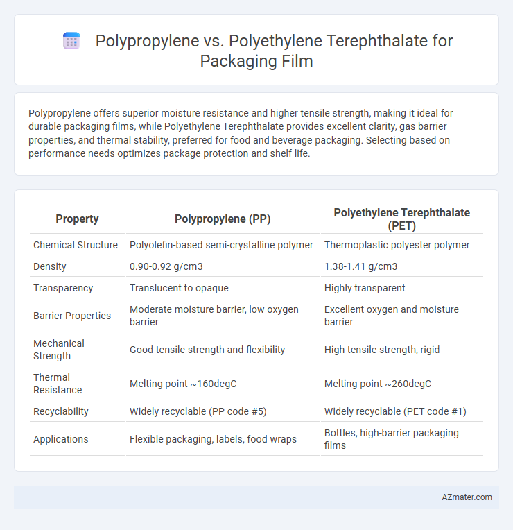 Polypropylene vs. Polyethylene Terephthalate for Packaging Film - What is The Difference?