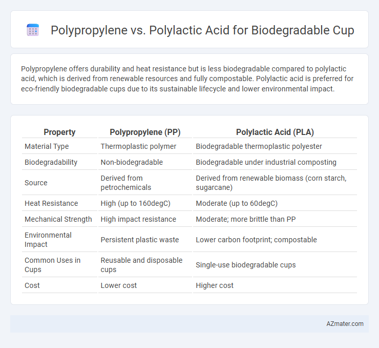 Polypropylene vs. Polylactic Acid for Biodegradable Cup - What is The Difference?