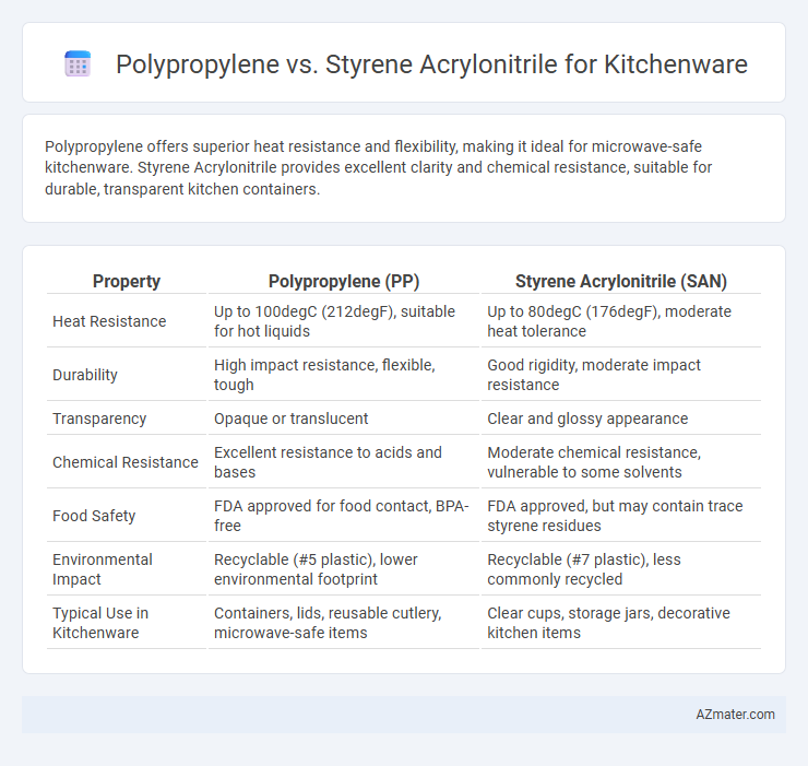 Polypropylene vs. Styrene Acrylonitrile for Kitchenware - What is The Difference?