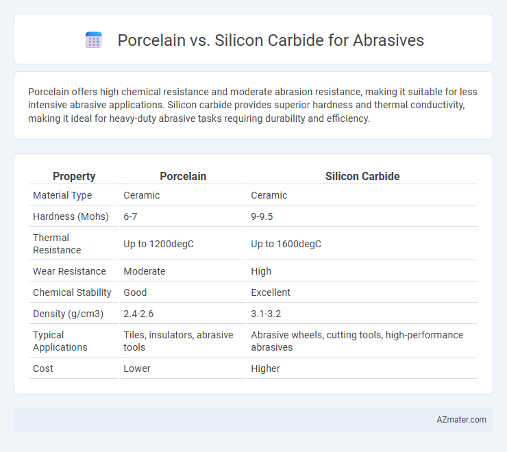 Porcelain vs. Silicon Carbide for Abrasives - What is The Difference?