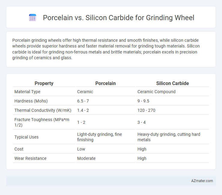 Porcelain vs. Silicon Carbide for Grinding Wheel - What is The Difference?