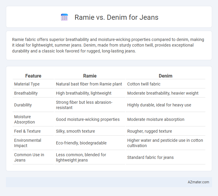 Ramie vs. Denim for Jeans - What is The Difference?
