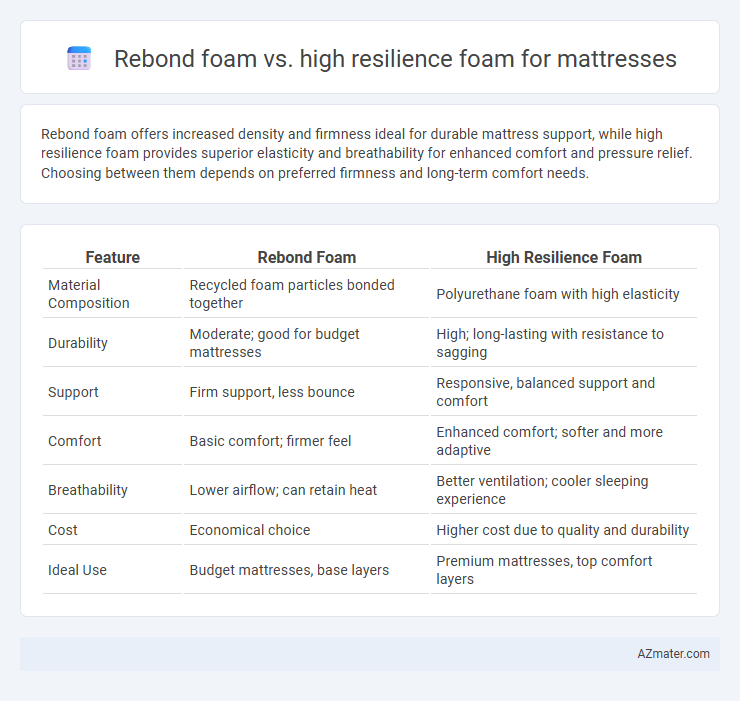 Rebond foam vs. high resilience foam for mattresses - What is The Difference?