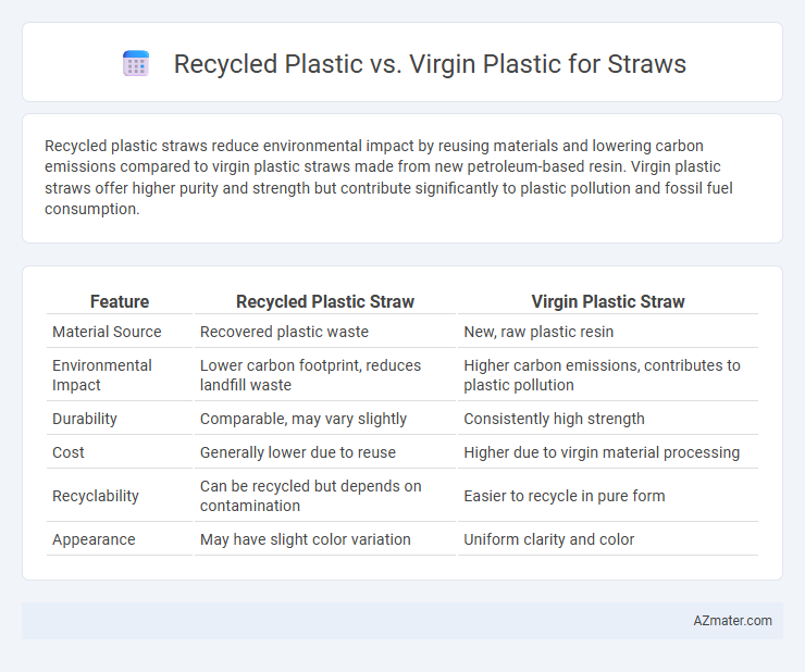 Recycled Plastic vs. Virgin Plastic for Straws - What is The Difference?