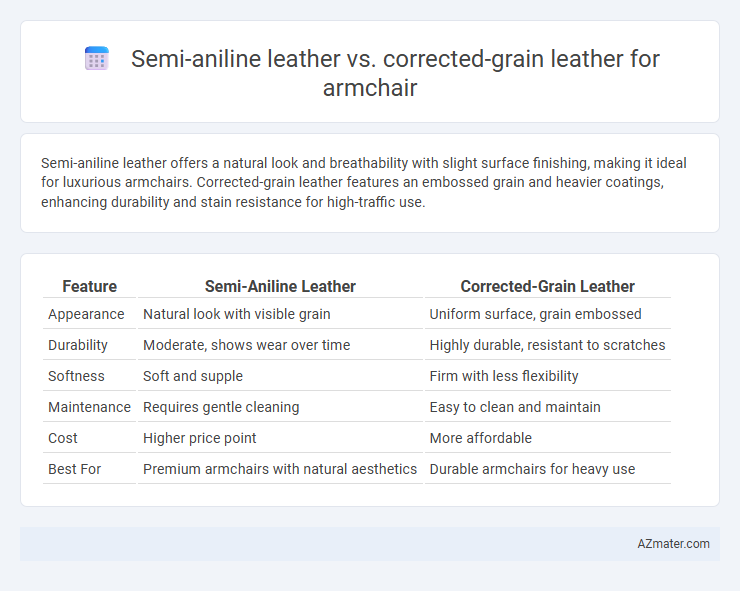Semi-aniline leather vs. corrected-grain leather for armchair - What is The Difference?