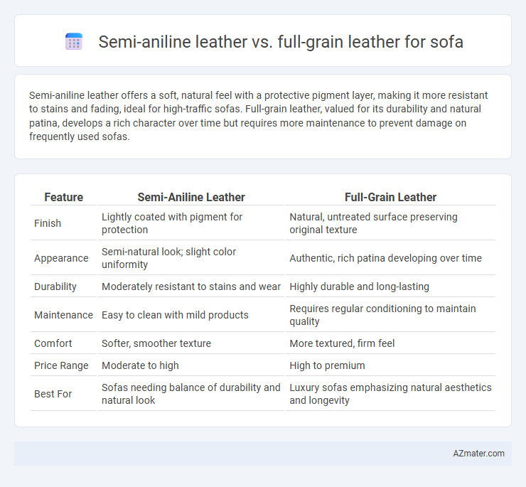 Semi-aniline leather vs. full-grain leather for sofa - What is The Difference?