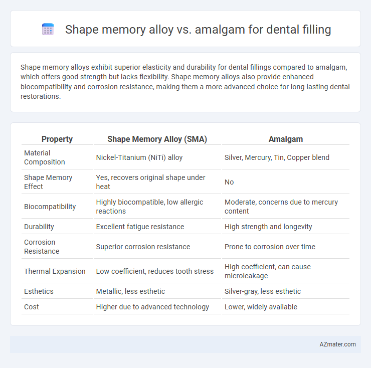 Shape memory alloy vs. amalgam for dental filling - What is The Difference?