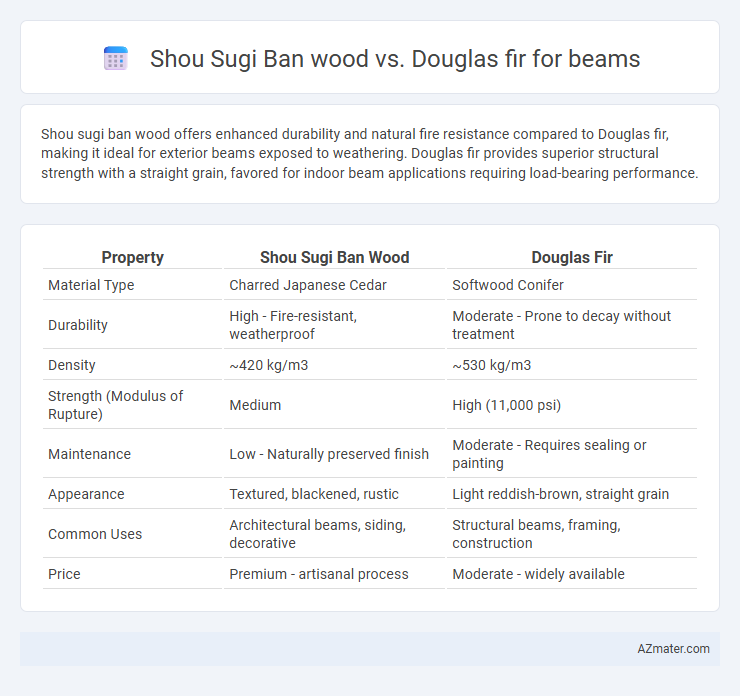 Shou Sugi Ban wood vs. Douglas fir for beams - What is The Difference?