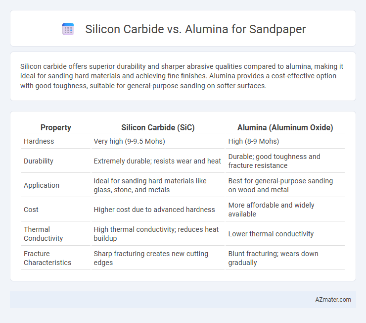Silicon Carbide vs. Alumina for Sandpaper - What is The Difference?