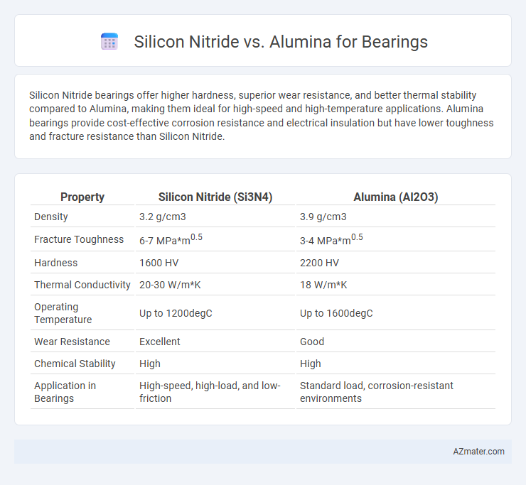 Silicon Nitride vs. Alumina for Bearings - What is The Difference?