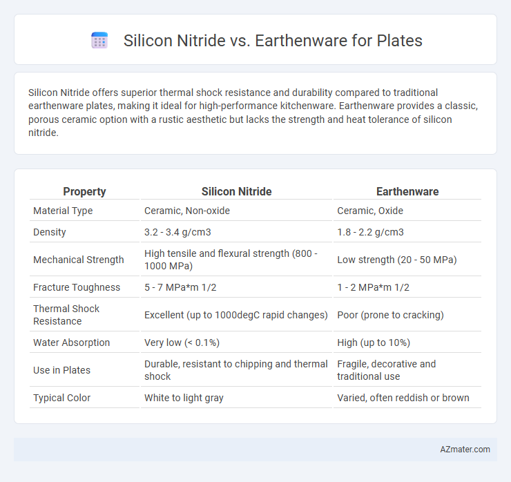 Silicon Nitride vs. Earthenware for Plates - What is The Difference?