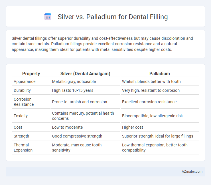 Silver vs. Palladium for Dental Filling - What is The Difference?