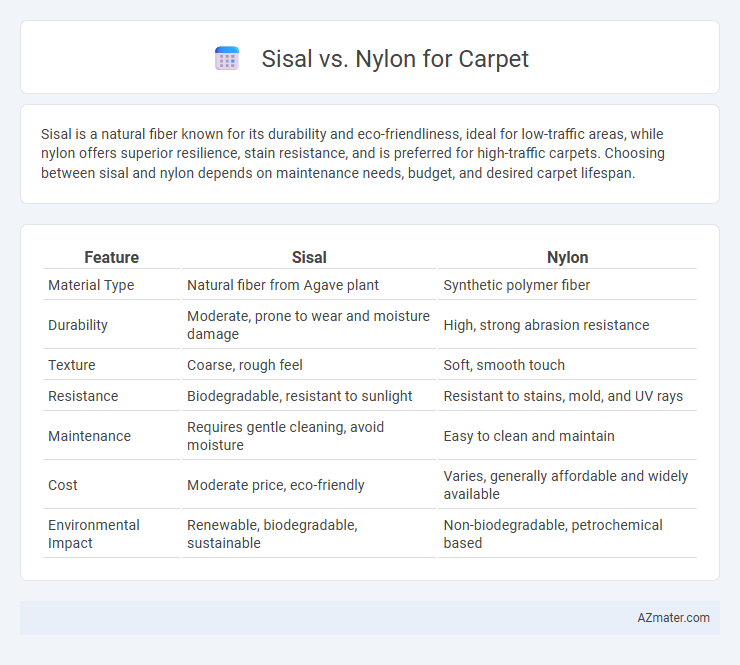 Sisal vs. Nylon for Carpet - What is The Difference?