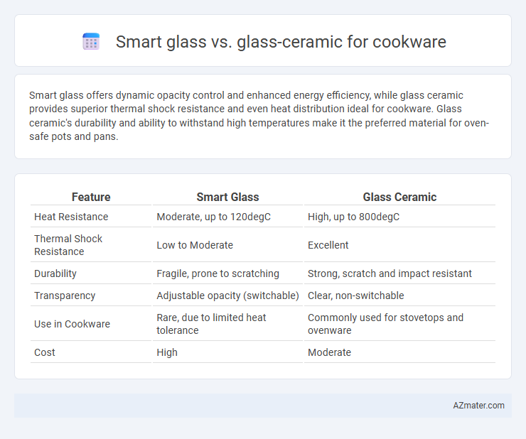 Smart glass vs. glass-ceramic for cookware - What is The Difference?