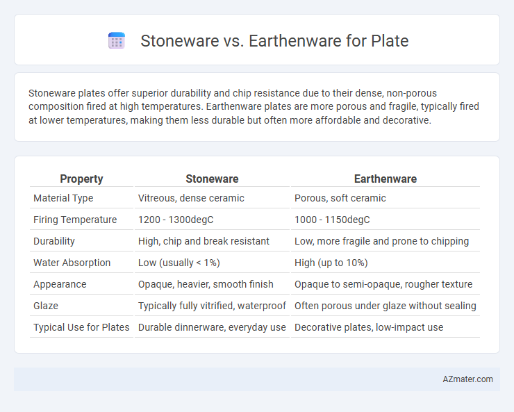 Stoneware vs. Earthenware for Plate - What is The Difference?
