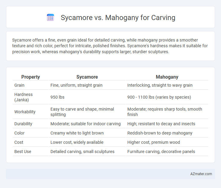 Sycamore vs. Mahogany for Carving - What is The Difference?