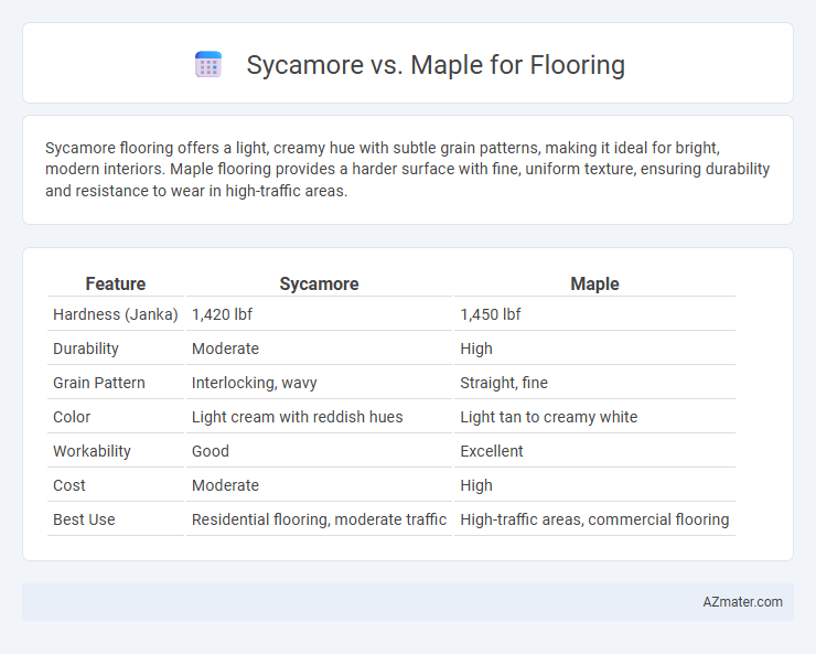 Sycamore vs. Maple for Flooring - What is The Difference?
