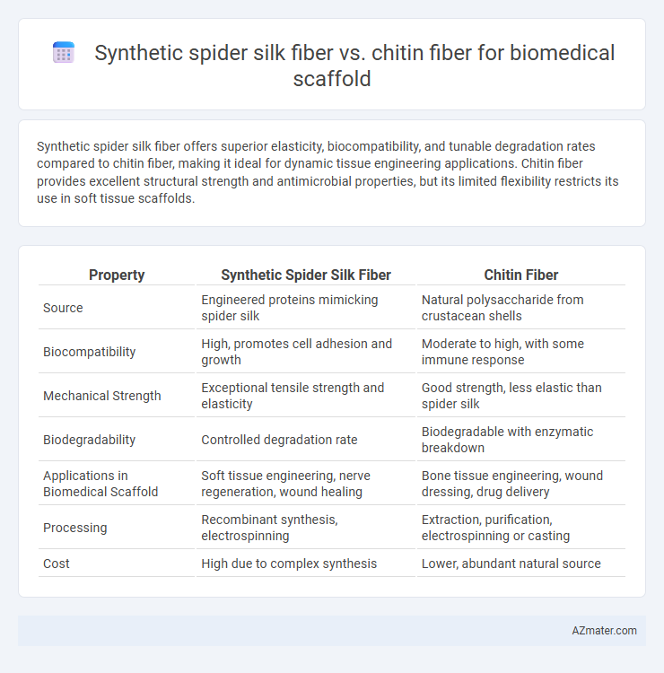 Synthetic spider silk fiber vs. chitin fiber for biomedical scaffold - What is The Difference?