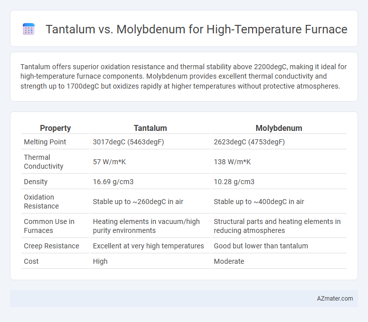 Tantalum vs. Molybdenum for High-Temperature Furnace - What is The Difference?