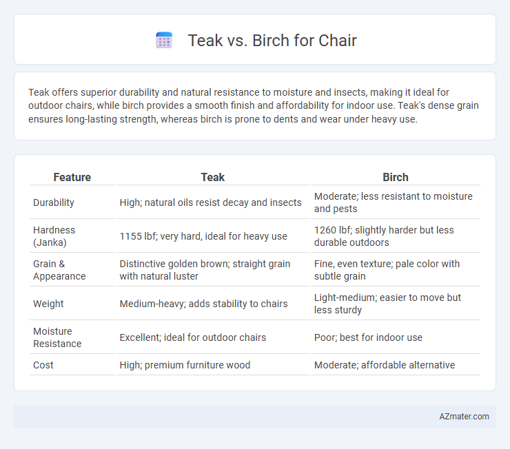 Teak vs. Birch for Chair - What is The Difference?