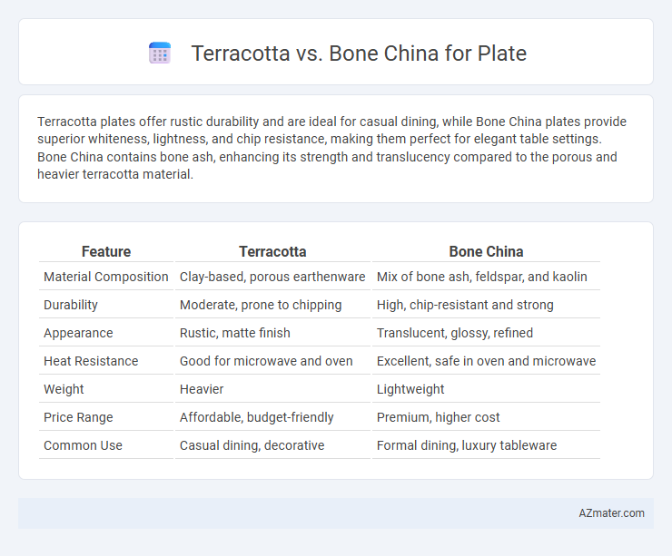 Terracotta vs. Bone China for Plate - What is The Difference?